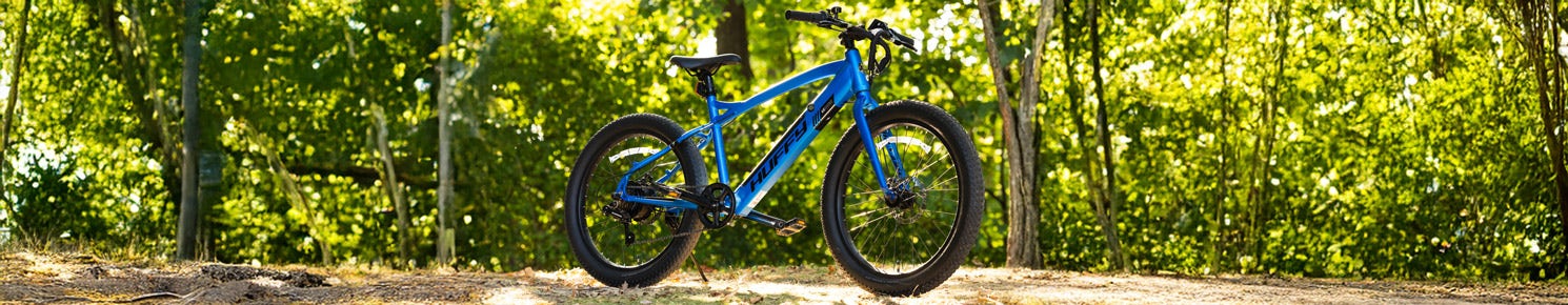 Electric Bikes