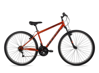 Incline Mountain Bike, 29-Inch