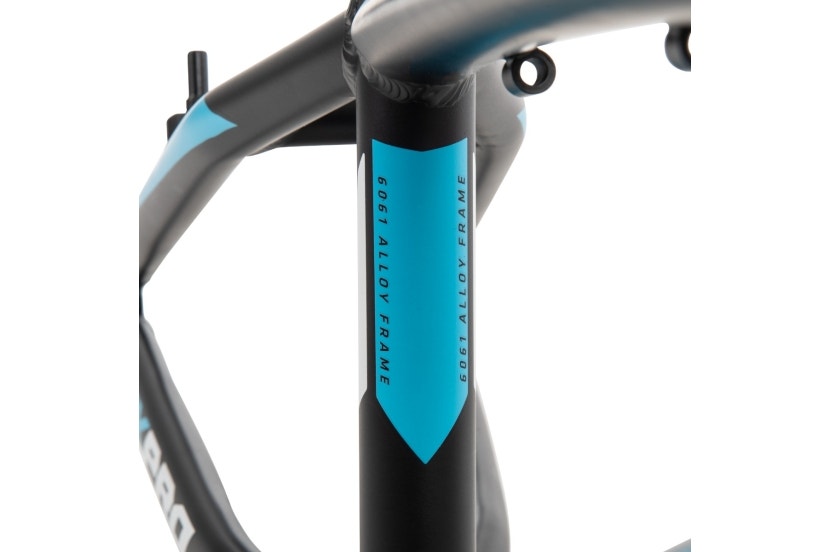 HX Pro BMX Race Bike, 20-Inch