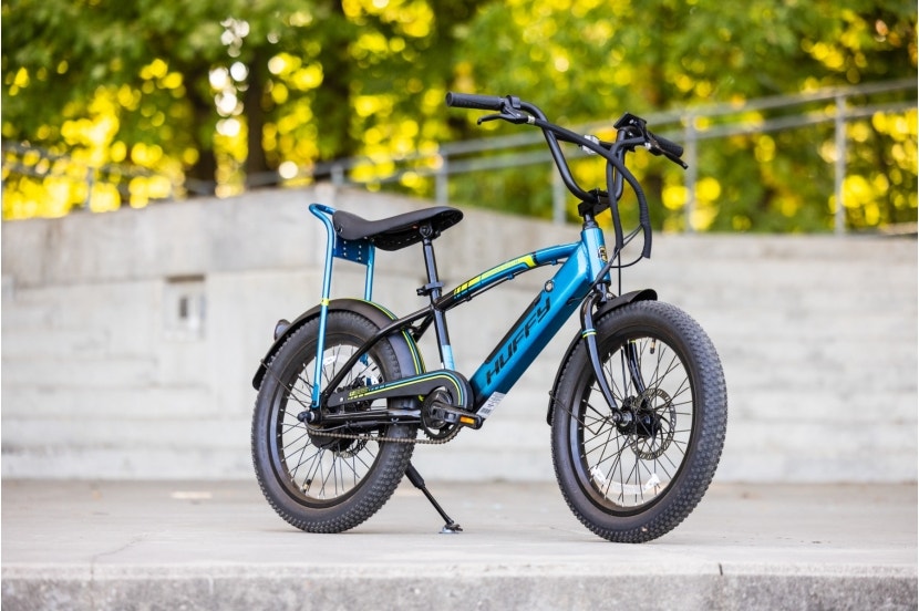 eThunder Road Kids Ebike, 20-Inch